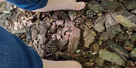 Powiększ grafikę: kawałki kory drewnianej w jednym z boksów ścieżki sensorycznej, po nich stąpa bosymi stopami człowiek