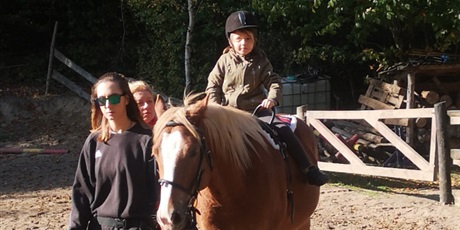 Powiększ grafikę: Przedszkolak na koniu - hipoterapia, w tle las i ogrodzenie