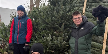 Powiększ grafikę: Trzech chłopców stoi przed choinką. W tle inne choinki.