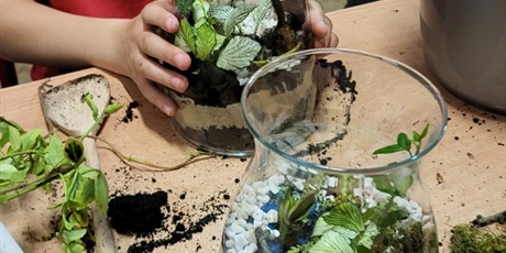 Powiększ grafikę: Uczeń sadzi rośliny w słoiku