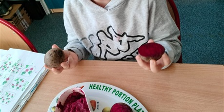 Powiększ grafikę: Chłopiec trzyma w ręku całego buraka, w drugiej ręce połówka buraka a na stole leży pojemnik z masą sensoryczną z buraków.