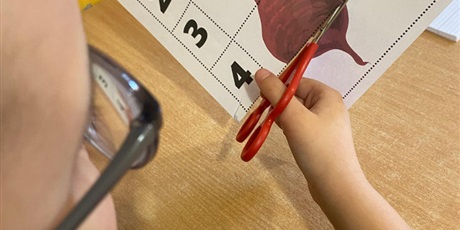 Powiększ grafikę: Zbliżenie na chłopca, który przecina obrazek wycinankę układankę buraczka oznaczonego cyframi.