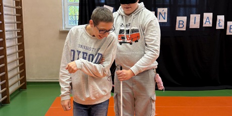 Powiększ grafikę: miedzynarodowy-dzien-bialej-laski-2025-646994.jpg