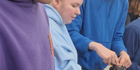 Powiększ grafikę: praktyki-w-auchan-645223.jpg