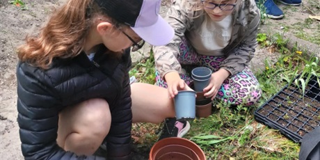 Powiększ grafikę: 2.	Dwie dziewczynki kucając segregują plastikowe doniczki