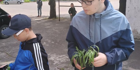 Powiększ grafikę: 4.	Dwóch uczniów stoi trzymając w rękach doniczki z roślinami. W tle boisko szkolne