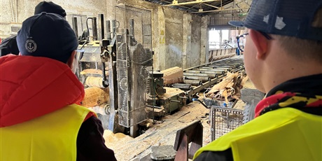 Powiększ grafikę: tartak-lubiszewo-kariera-bez-barier-644389.jpg
