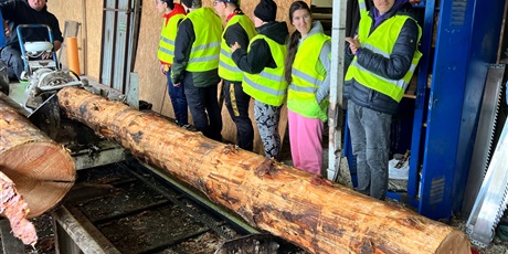Powiększ grafikę: tartak-lubiszewo-kariera-bez-barier-644391.jpg