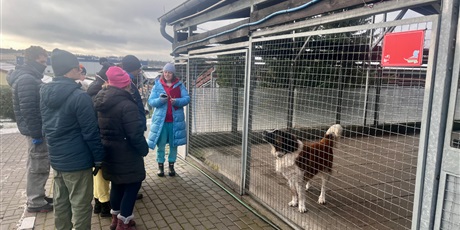 Powiększ grafikę: 3.	Grupa dzieci ogląda psa za ogrodzeniem w schronisku 