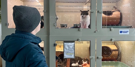 Powiększ grafikę: Chłopak patrzy na koty za gablotą