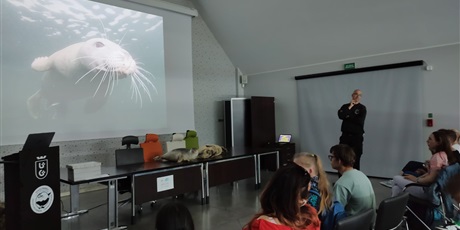 Powiększ grafikę: Uczniowie siedzą w dużej sali oglądają prelekcje na tablicy multimedialnej , w tle zdjęcie foki